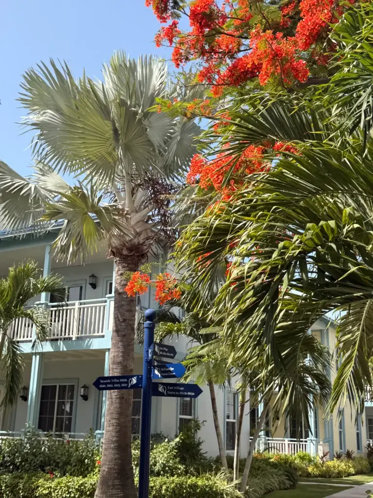Beaches Turks and Caicos Pic
