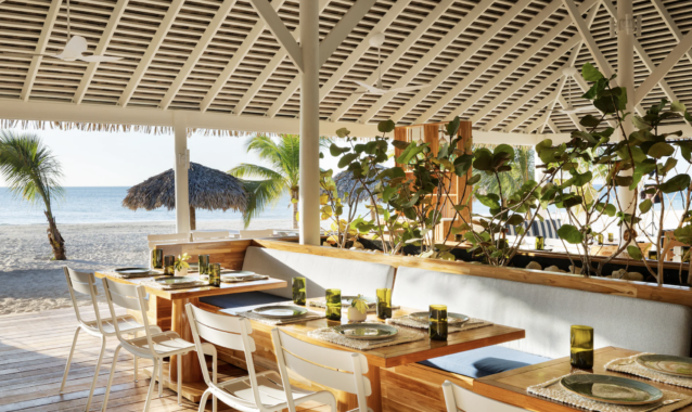 Screen Shot 2026-02-18 at 6.18.10 PM beaches negril