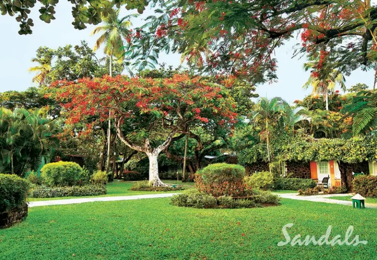 Sandals-Halcyon-Beach-7