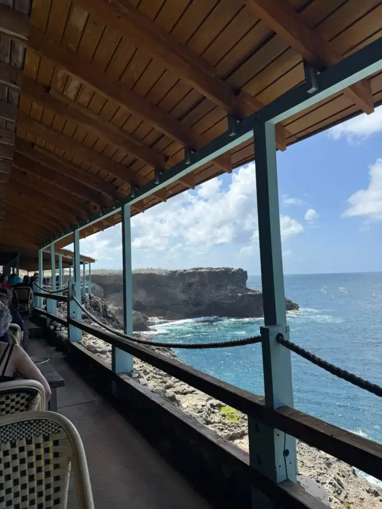 best tour in barbados
