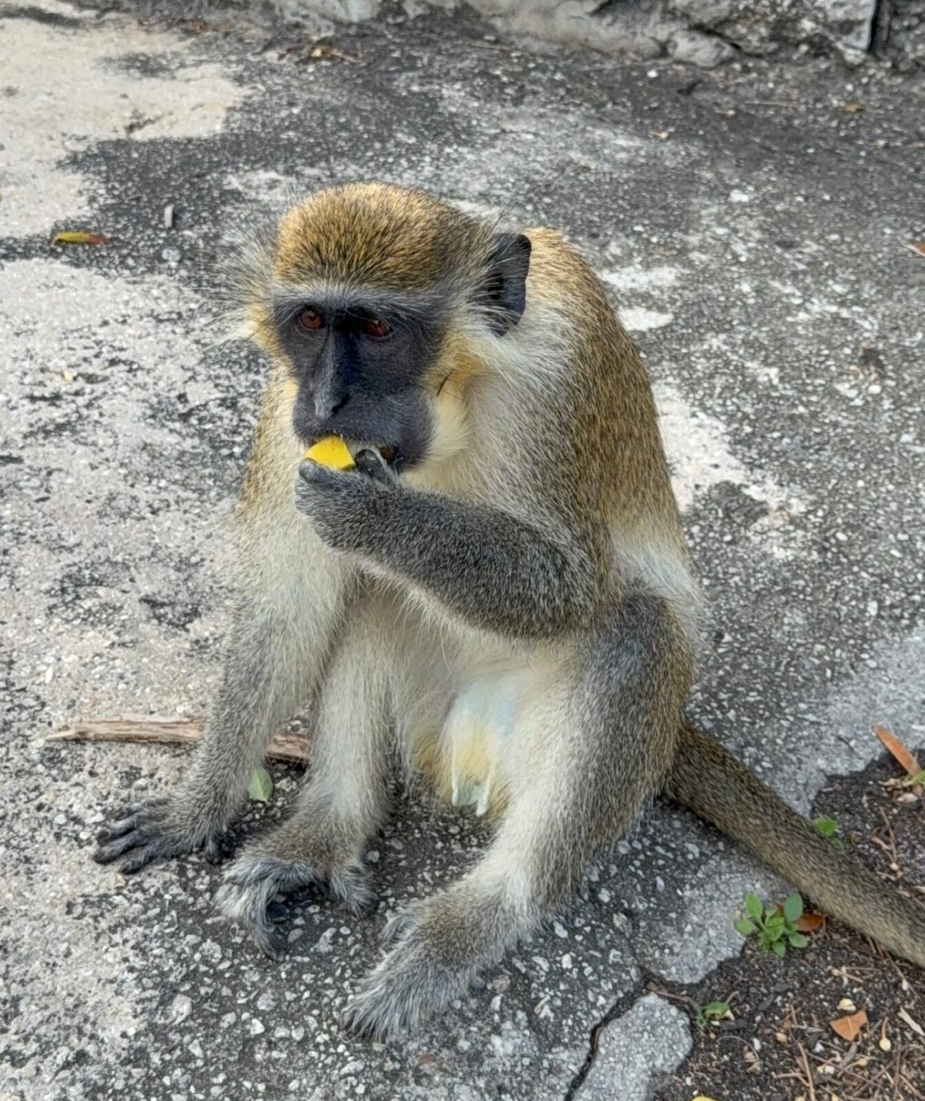 9CB43D67-1DD0-4C3B-9AD8-F8838F0D004F