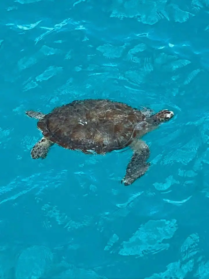 Island of Barbados