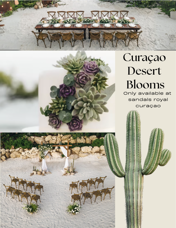 Screen-Shot-2025-06-05-at-3.18.49-PM