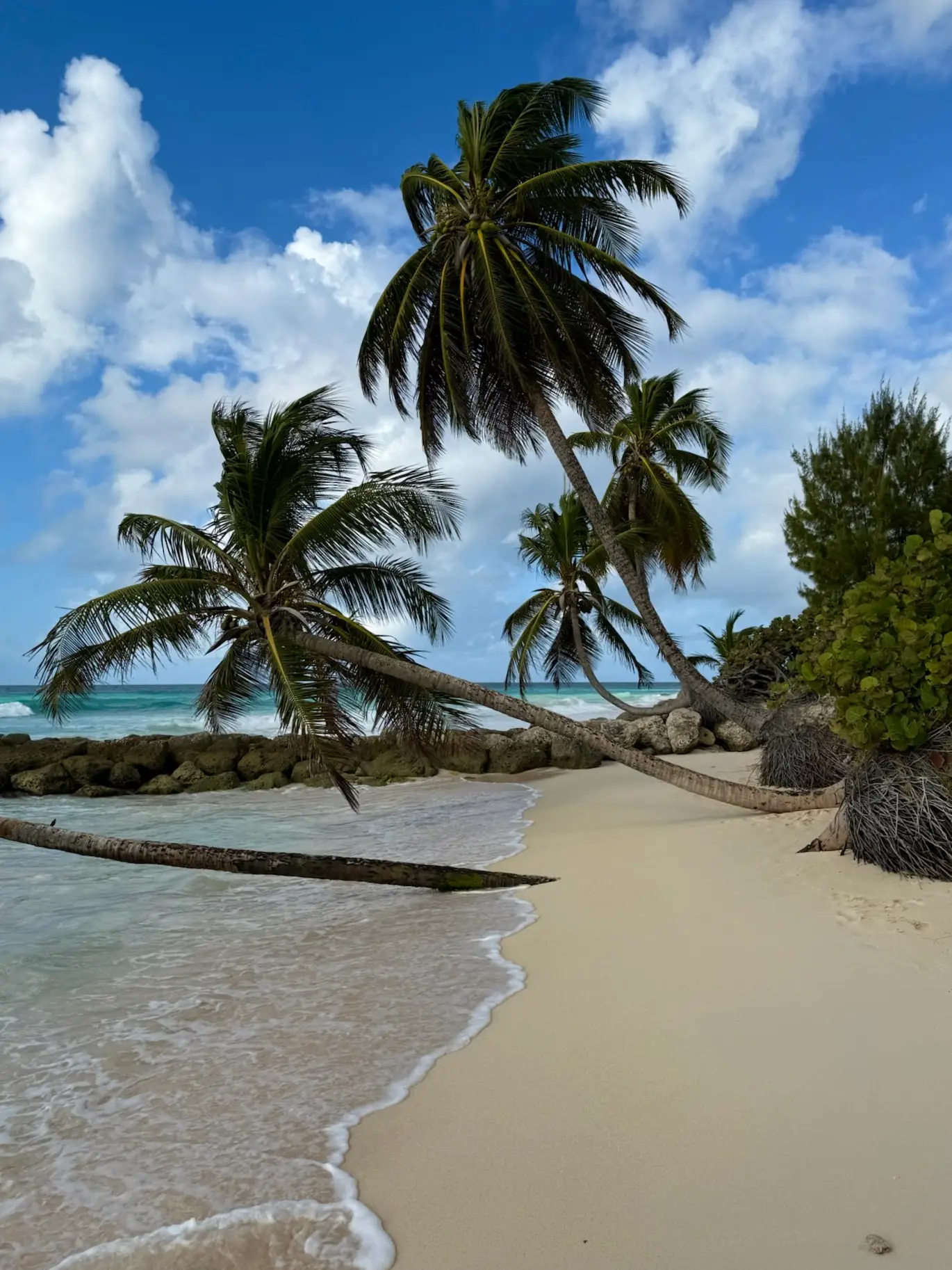 Sandals Barbados