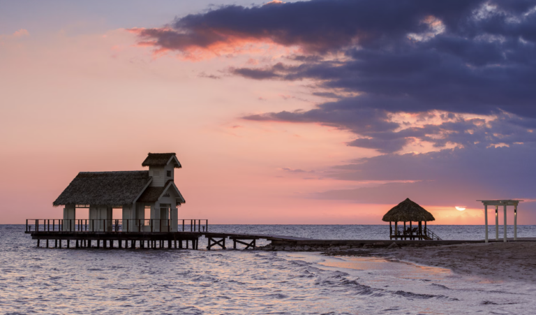 Screen Shot 2026-02-12 at 8.26.40 PM