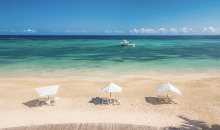 Screen Shot 2026-02-12 at 8.38.20 PM