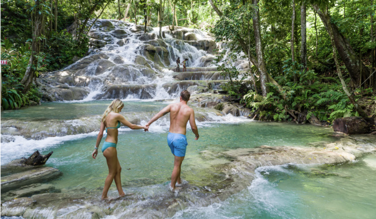 Screen Shot 2026-02-12 at 8.39.05 PM