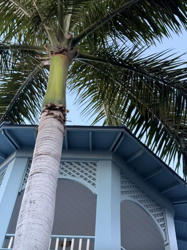 Beaches Turks and Caicos