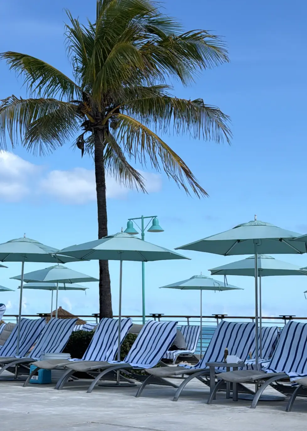 sandals royal bahamian reviews