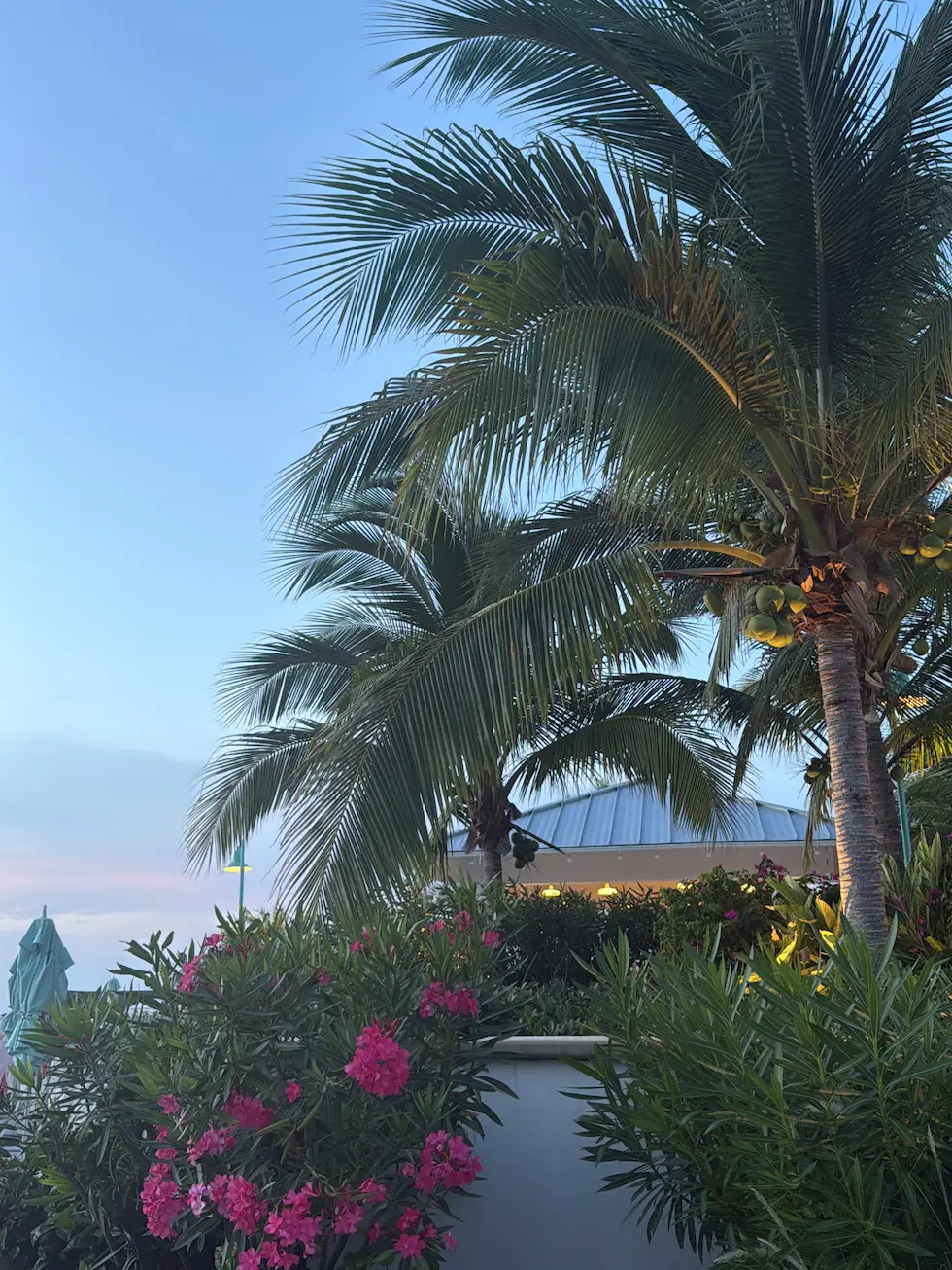 sandals royal bahamian reviews