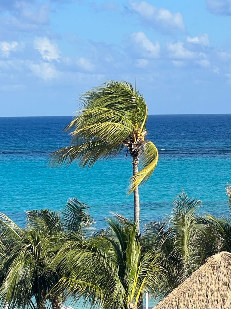 Sandals Dunn's River Review