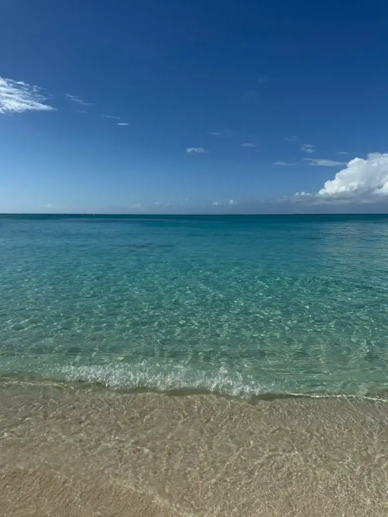 contact twinsburg travel
