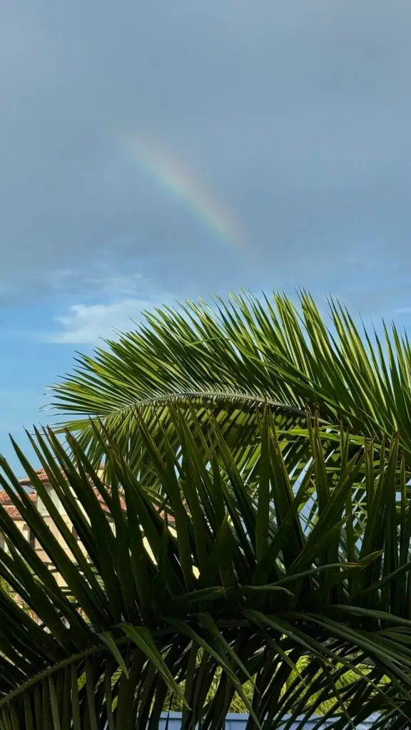 new beaches resorts