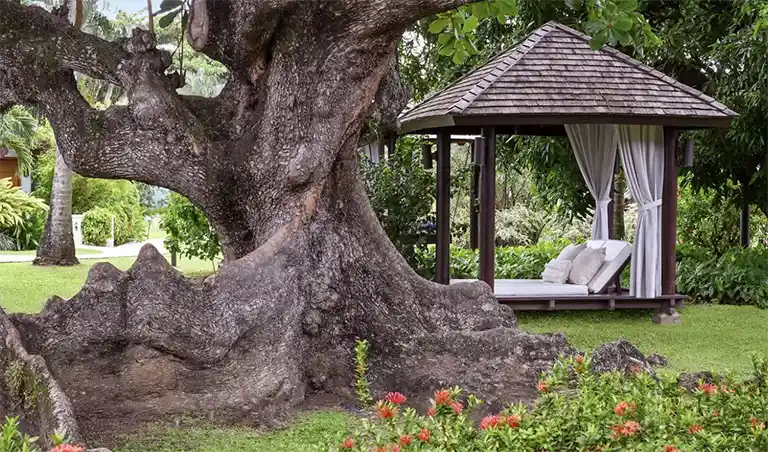 Garden gazebo beneath a large tree at Sandals Halcyon Beach