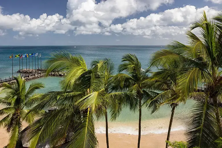 Palm-lined beach at Sandals La Source Grenada