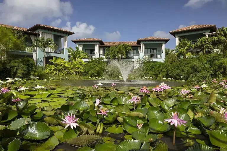 Lovers Lagoon with lily pads at Sandals La Source Grenada