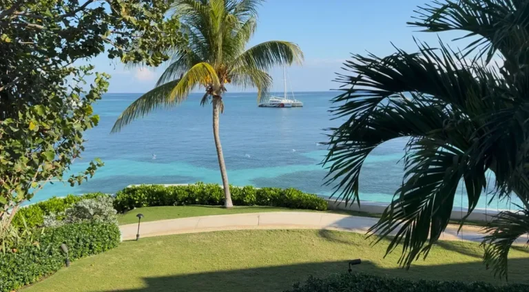 Ocean view framed by palm trees at Sandals Montego Bay
