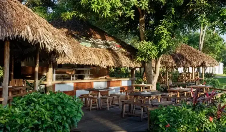 Thatched-roof bar and outdoor dining area under trees at Sandals Ochi Rios