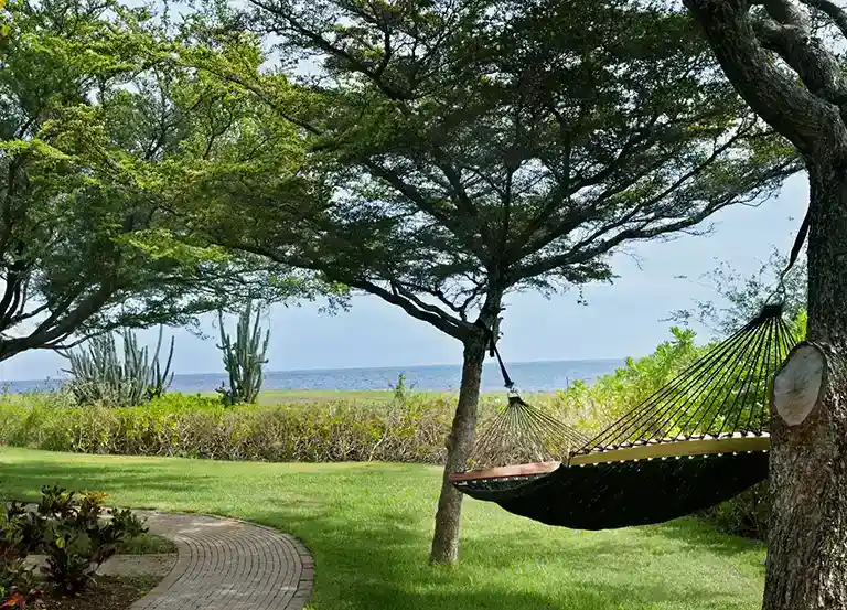 Garden pathway with hammock at Sandals Royal Curacao