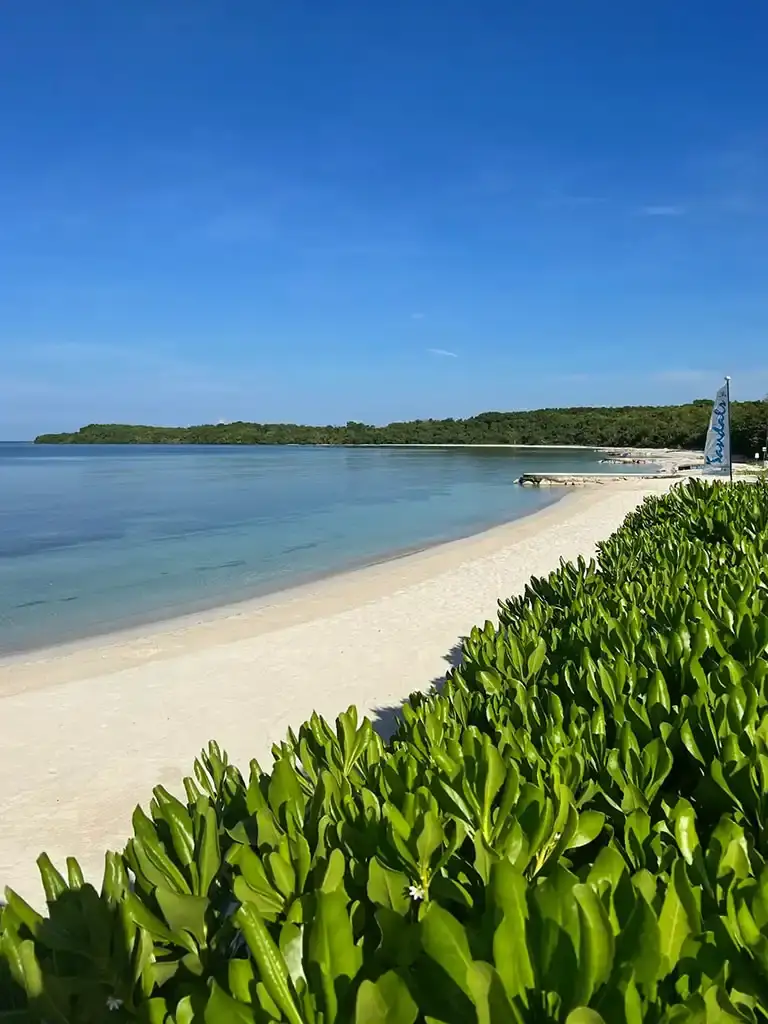 Beach view with tropical foliage at Sandals South Coast