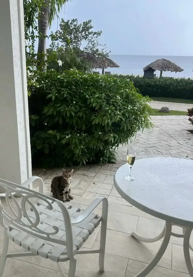 Patio with ocean view at Sandals South Coast