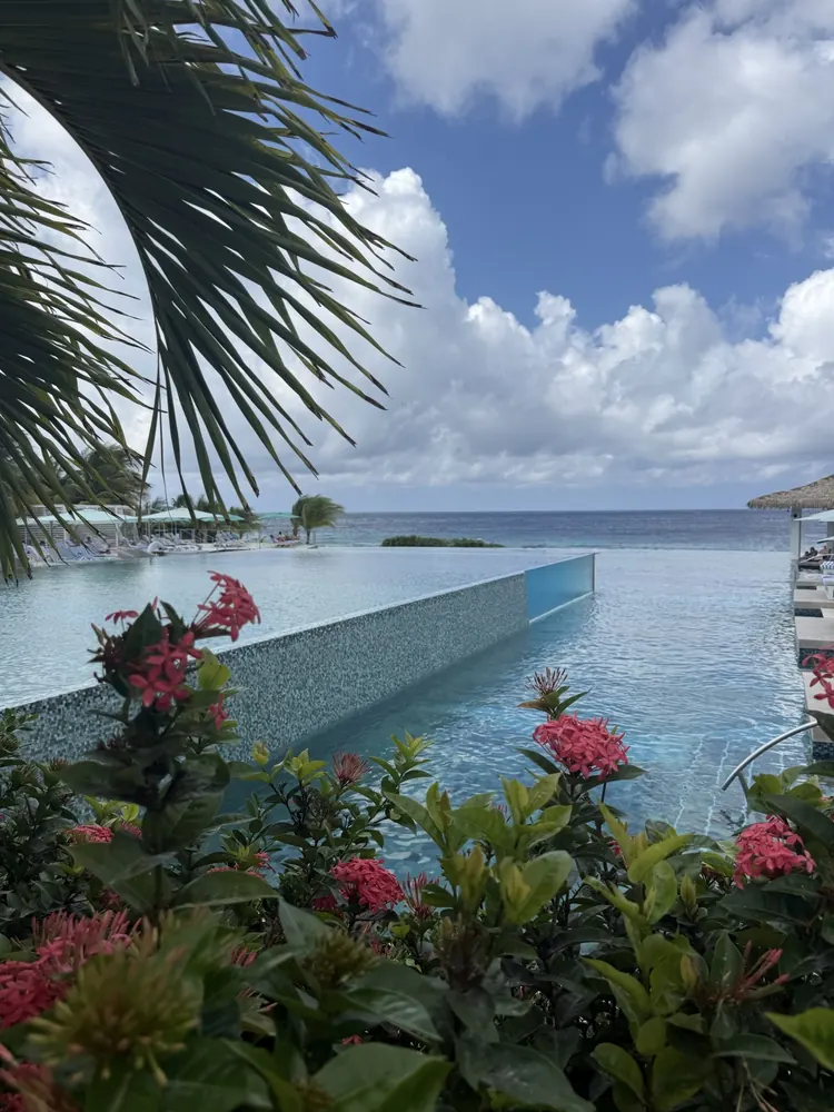 Infinity pool framed by palm trees and pink flowers overlooking the ocean at Sandals Curaçao